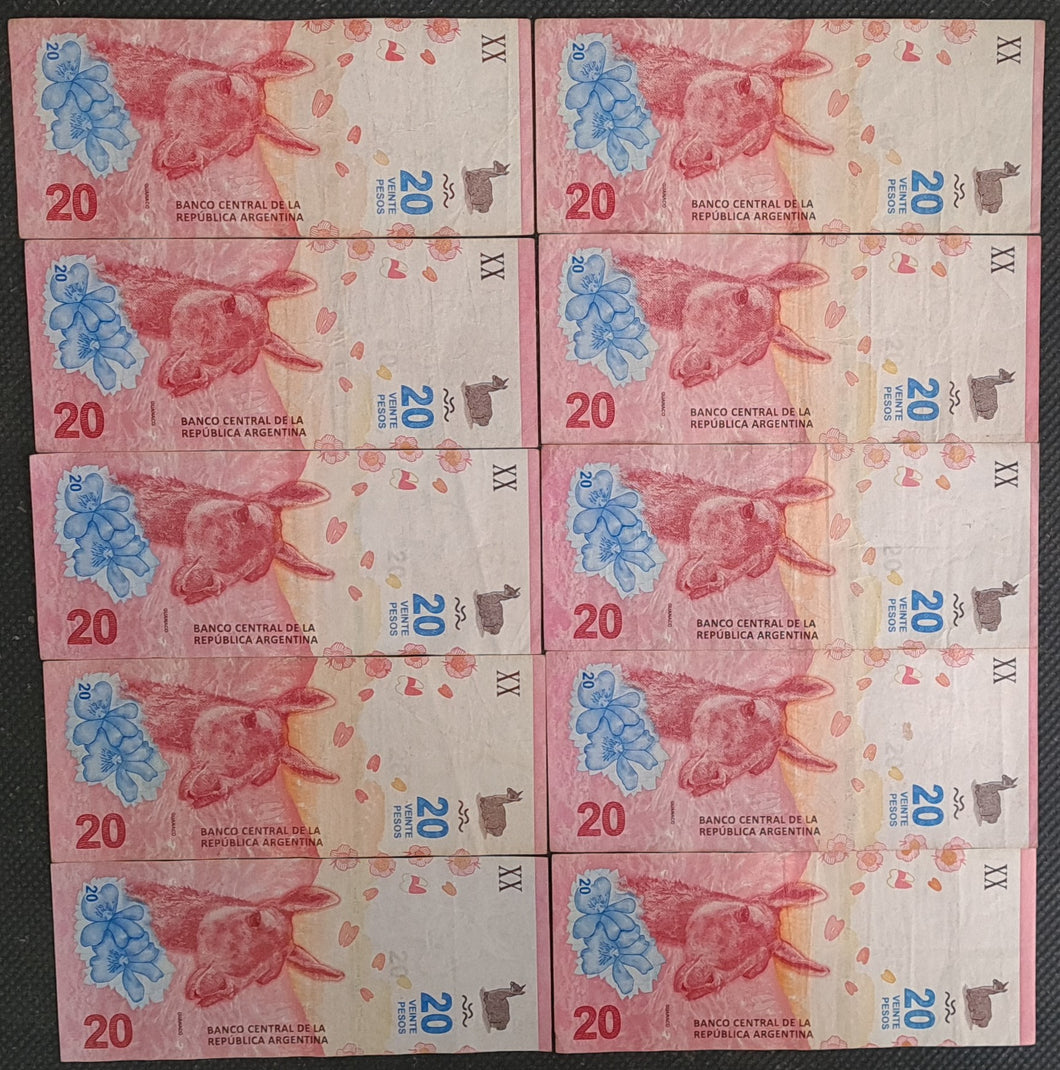 10 x Argentina 20 Pesos Banknotes