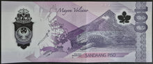 Load image into Gallery viewer, Philippines 100 Piso Banknote Polymer
