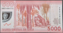 Load image into Gallery viewer, Chile 5,000 Pesos Banknote
