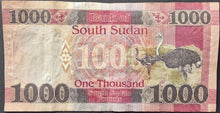 Load image into Gallery viewer, South Sudan 1000 Pound Banknote
