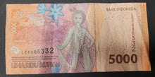 Load image into Gallery viewer, Indonesia 5,000 Rupiah Banknote
