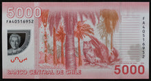 Load image into Gallery viewer, Chile 5,000 Pesos Banknote
