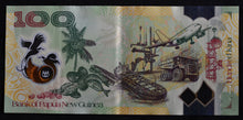 Load image into Gallery viewer, Papua New Guinea 100 Kina Banknote

