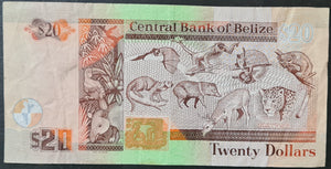 Belize 20 Dollars Banknote