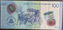 Load image into Gallery viewer, Nicaragua 100 Cordoba Banknote
