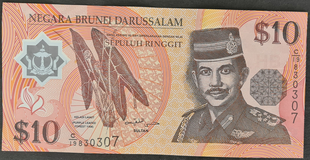 Brunei 10 Ringgit Banknote