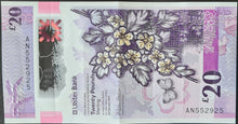 Load image into Gallery viewer, Northern Ireland 20 Pounds Banknote Ulster Bank 2019
